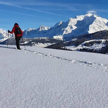 Otel Alp-hotel Megève