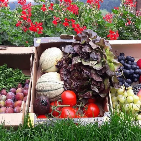 Alp-hotel Hotel Megève