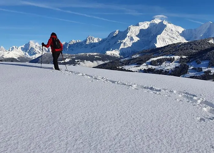 Hotel Alp-hotel Megève