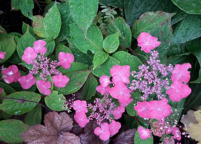 Alp-hotel فندق موجوف