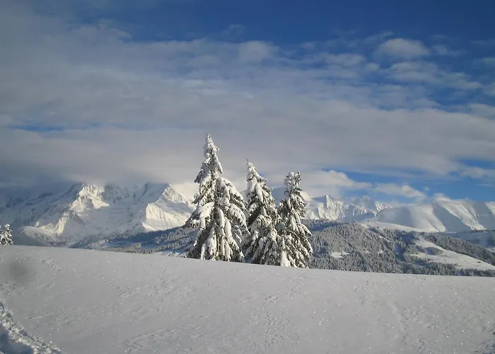 Alp-hotel 2* Megève
