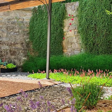 Hotel Alp-hotel Megeve