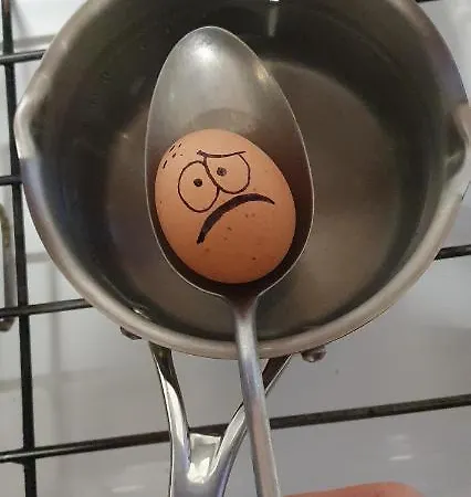 Hotel Alp-hotel Megeve