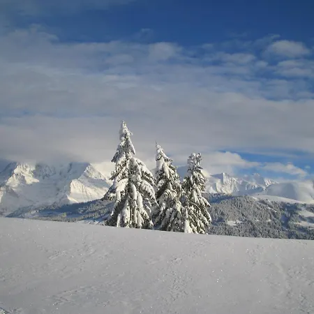 Alp-hotel 2* Megeve