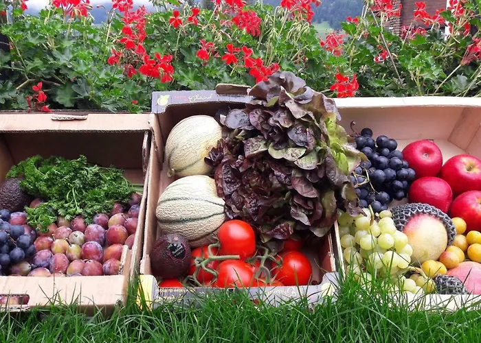 Alp-hotel Otel Megève